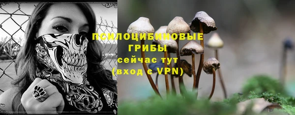 ALPHA PVP Лиски