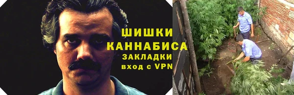 индика Лабытнанги