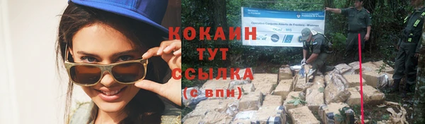 индика Лабытнанги