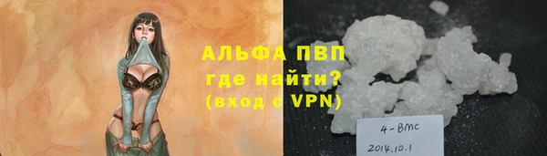 эйфоретик Ладушкин