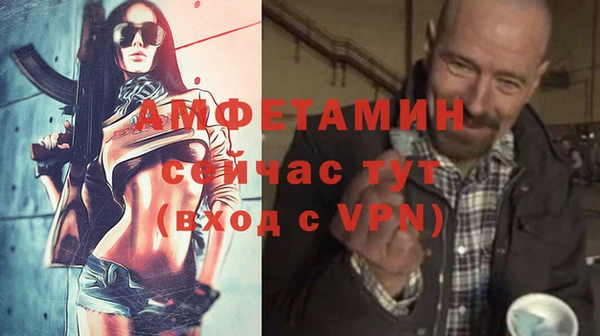индика Лабытнанги