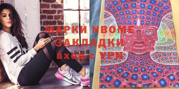 индика Лабытнанги