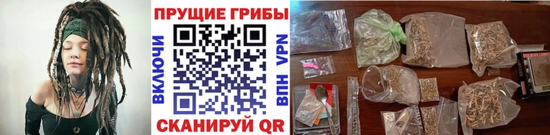 Галлюциногенные грибы мицелий  Купить где  Чита 