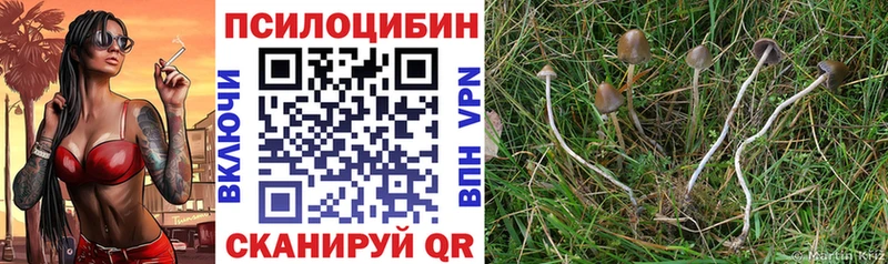 Галлюциногенные грибы MAGIC MUSHROOMS Чита