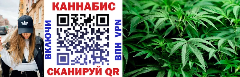 Купить где  Чита  МАРИХУАНА White Widow 